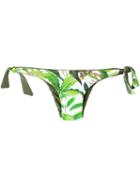 Blue Man Printed Bikini Bottoms, Women's, Size: G, Green, Lyocell