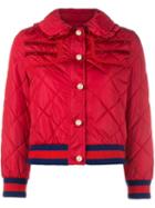 Gucci Frill Trim Puffer Jacket, Women's, Size: 42, Polyester/wool/polyamide/viscose