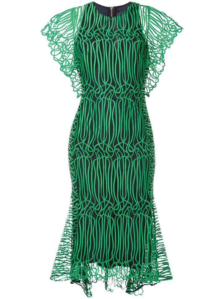 Ginger & Smart Sheer Flared Dress - Black