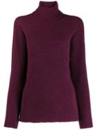Roberto Collina Knitted Roll Neck Jumper - Purple