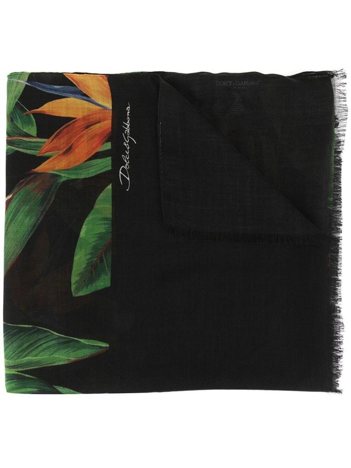 Dolce & Gabbana Bird Of Paradise Print Scarf - Black