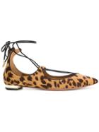 Aquazzura Leopard Print Ballerinas Flat - Brown