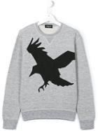 Dsquared2 Kids Bird Print Sweatshirt, Boy's, Size: 14 Yrs, Grey