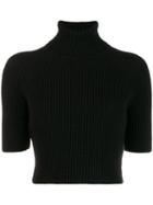 Elisabetta Franchi Turtleneck Ribbed Knit Sweater - Black