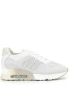 Ash Lucky Low-top Sneakers - White