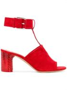 Casadei Ankle Strap Mules - Red