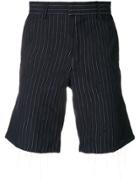 Natural Selection Pinstriped Shorts - Blue