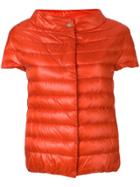 Herno Short-sleeve Padded Jacket - Orange
