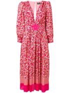 Elisabetta Franchi Printed Flared Dress - Pink