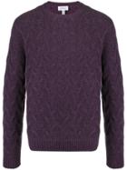 Brioni Cable Knit Jumper - Purple
