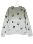 Stella Mccartney Kids Skulls Print Sweatshirt - Grey