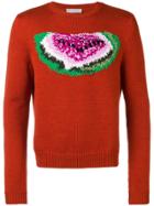 Jw Anderson Watermelon Jumper - Orange
