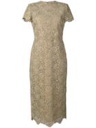 Valentino Fitte Lace Dress - Gold