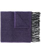 Ps By Paul Smith Contrast Fringe Scarf - Pink & Purple