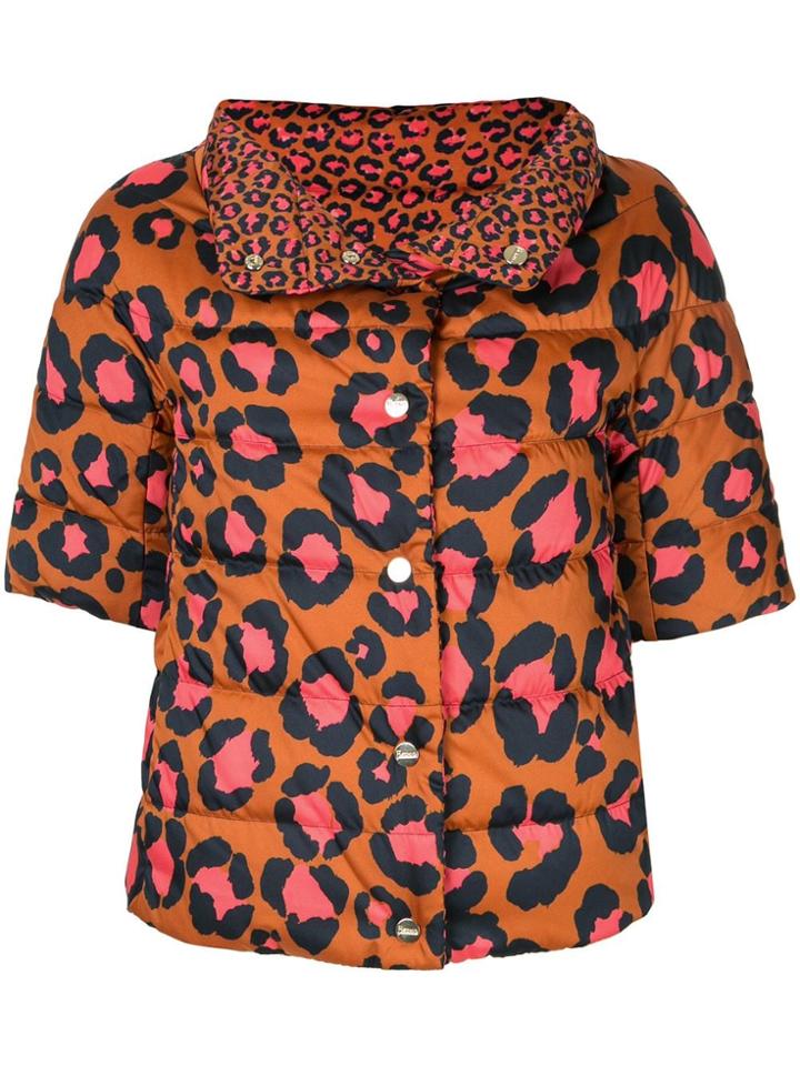 Herno Cropped Leopard Print Puffer Jacket - Brown