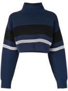 Nagnata Retro Cropped Turtleneck Jumper - Blue