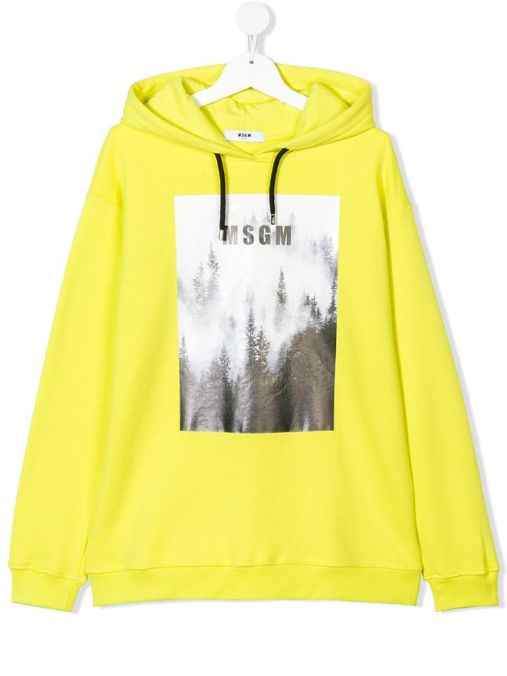 Msgm Kids Forest Print Logo Hoodie - Yellow & Orange