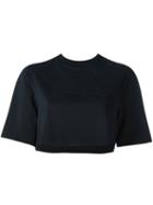 Nike Nikelab X Rt 'shimmel' Crop T-shirt, Women's, Size: Large, Black, Polyester/spandex/elastane