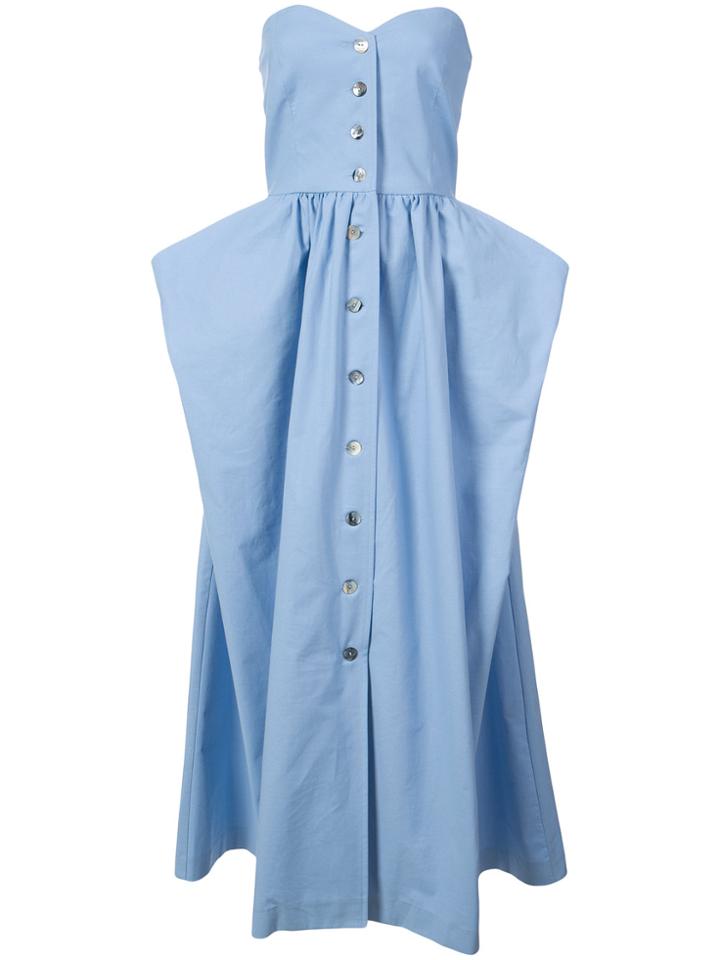 Maryam Nassir Zadeh Long Strapless Dress - Blue