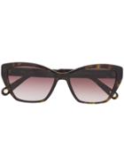 Chloé Eyewear Tortoiseshell Cat-eye Frame Sunglasses - Brown