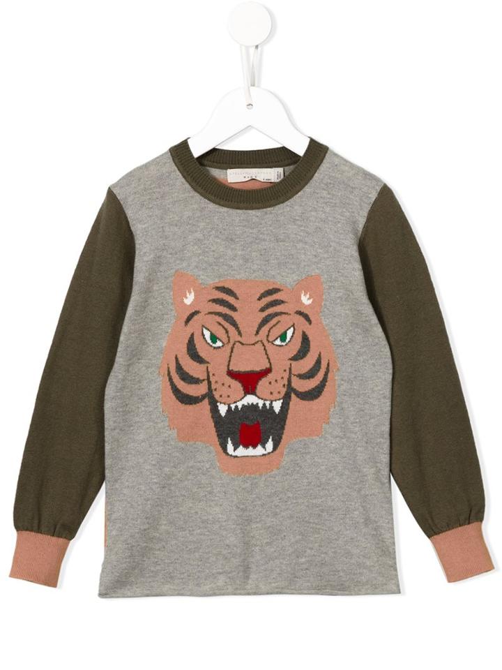 Stella Mccartney Kids 'wiggins' Jumper, Boy's, Size: 12 Yrs, Grey
