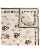 Alexander Mcqueen Skull-print Scarf, Women's, Nude/neutrals, Silk/modal