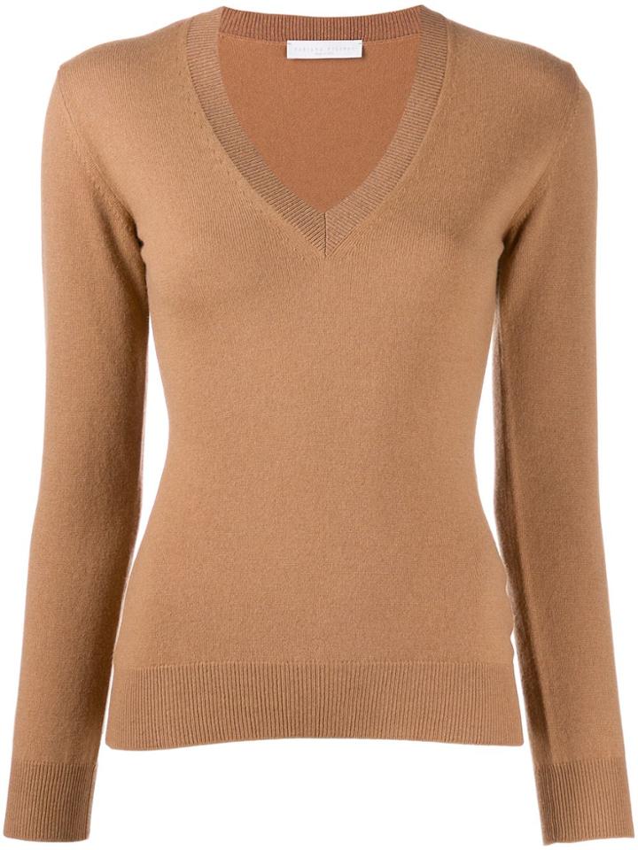 Fabiana Filippi Fitted V-neck Jumper - Brown