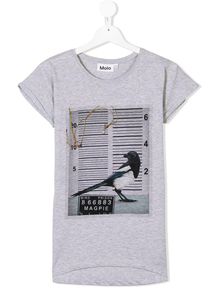 Molo Teen Magpie Mugshot Print T-shirt - Grey