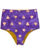 Sissa Viviana Bikini Bottoms - Pink & Purple