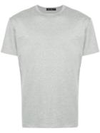 Roar Round Neck T-shirt - Grey