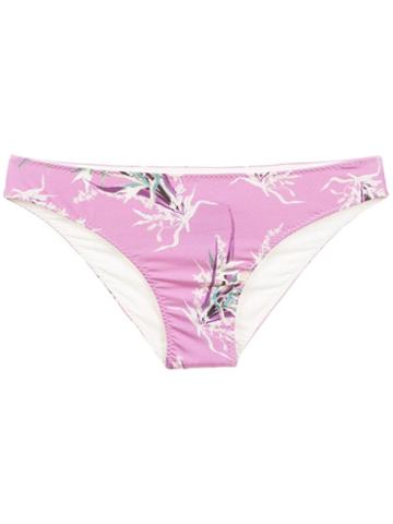 Clube Bossa Narchos Bikini Bottons - Pink