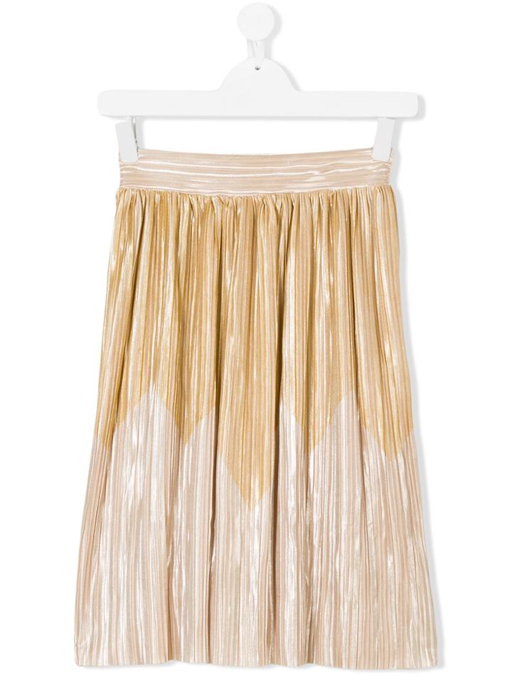 Andorine Pleated Skirt - Metallic
