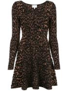 Milly Leopard Print Skater Dress - Brown