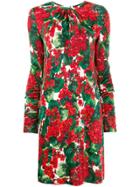 Dolce & Gabbana Portofino Print Dress - Red