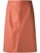 Egrey Leather Midi Skirt, Women's, Size: 36, Nude/neutrals, Leather