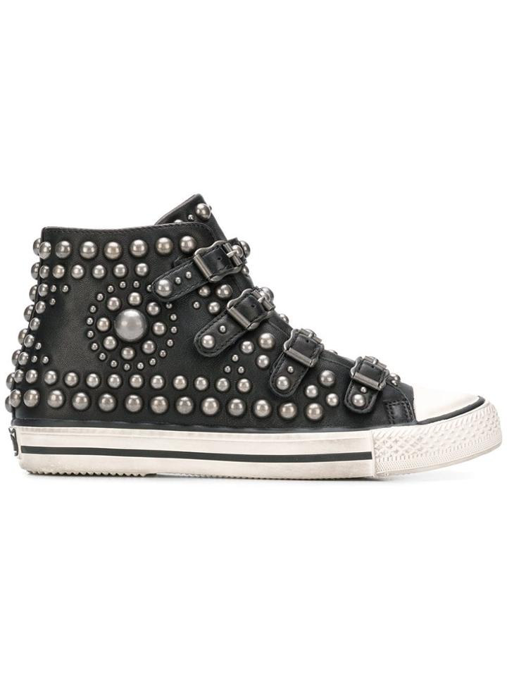 Ash Studded Hi-top Sneakers - Black