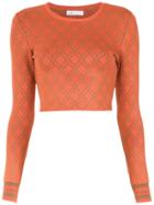 Nk Knitted Cropped Top - Orange