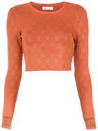 Nk Knitted Cropped Top - Orange