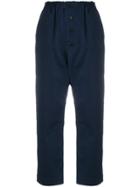 Sofie D'hoore High Rise Straight Leg Trousers - Blue
