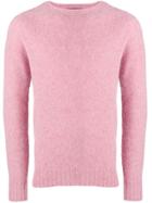 Howlin' Crew Neck Sweater - Pink & Purple