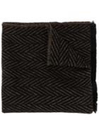Cerruti 1881 Knitted Scarf - Brown