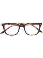 Barton Perreira Joe Square Frame Glasses - Brown