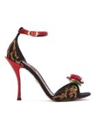 Dolce & Gabbana Rose Appliqué Sandals - Multicolour