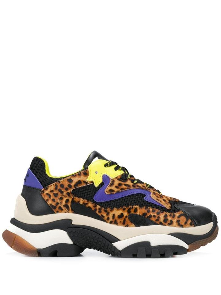 Ash Addict Leopard-print Trainers - Black