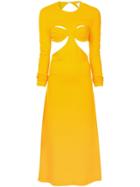 Dion Lee Open Back Bra Dress - Yellow & Orange