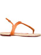 Charlotte Olympia 'rattan' Sandals