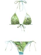 Isolda Foliage Print Bikini Set - Green