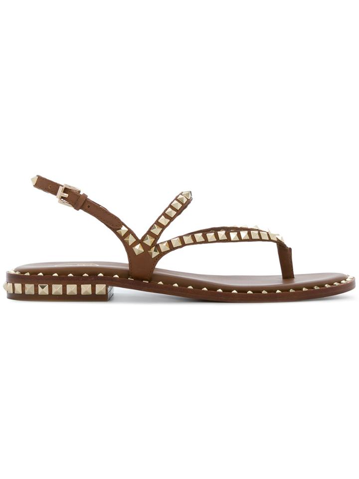 Ash Studded Flat Sandals - Brown