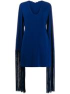 Stella Mccartney Rose Mini Dress - Blue