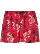 Red Valentino Monkey And Floral Embroidered Shorts